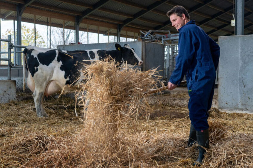 One of the key features of efficient dairy farms is the farmer’s ability to organise and delegate tasks. Photo: Jan Willem Schouten