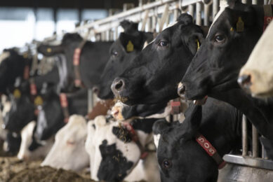 One of the key progress indicators is the fall in dairy lameness and mortality from various 2019 indicators.