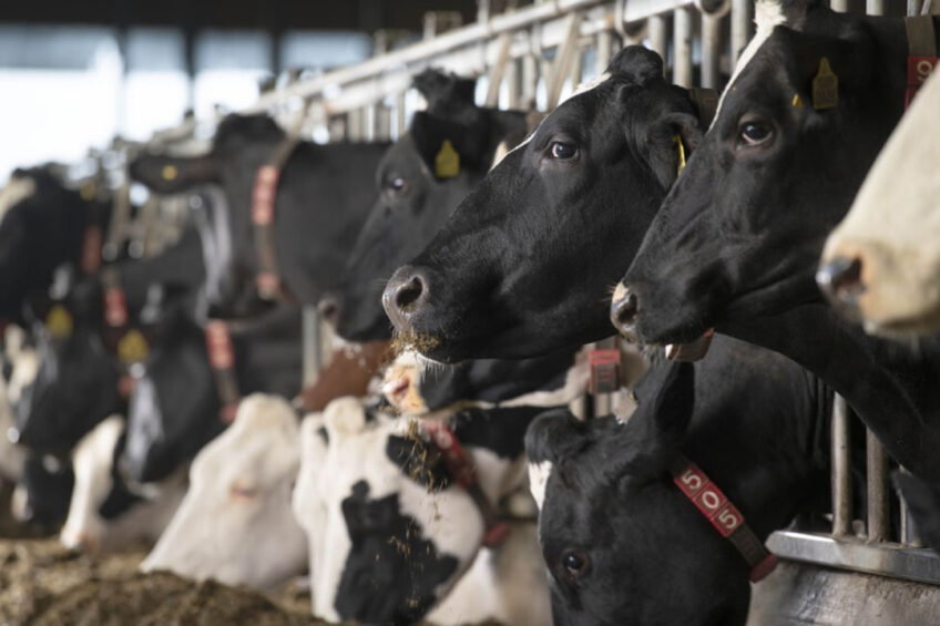 One of the key progress indicators is the fall in dairy lameness and mortality from various 2019 indicators.