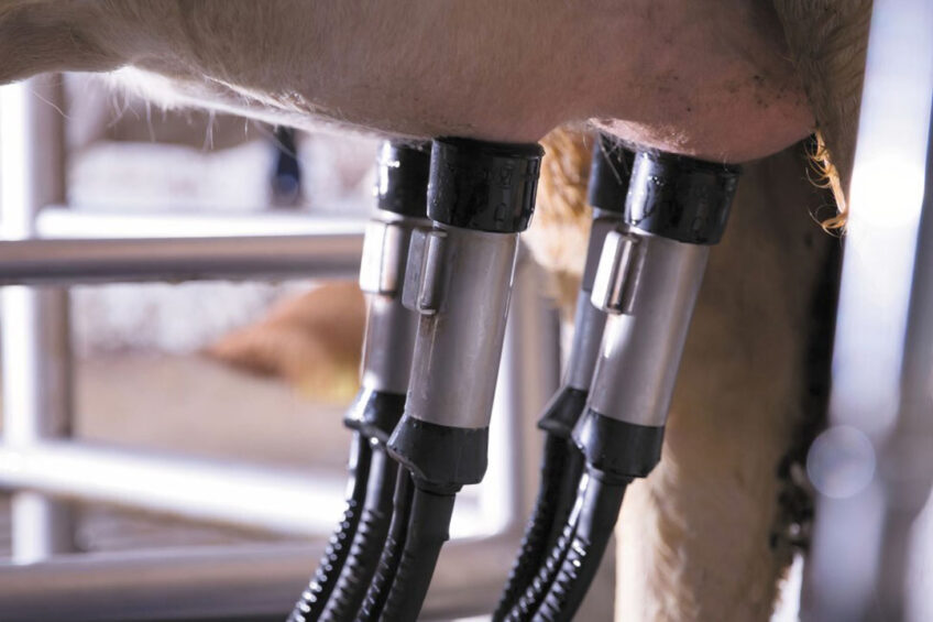 AMSs have the potential to create significant change in farm productivity and profitability. Photo: DeLaval