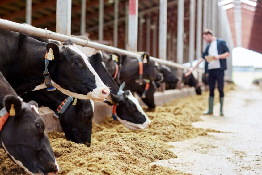 Regulation of dairy contracts will be an important piece of the jigsaw to help improve the entire dairy market, not just for farmers, but for relationships all along the supply chain. Photo: Canva