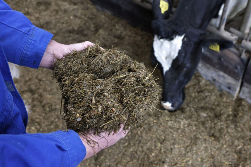 Proteins in normal silages are less efficiently utilised by animals than proteins in fresh crops. Photo: Ruud Ploeg