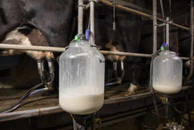 Canadian dairy cow productivity has steadily increased over the past decade, primarily due to improved genetics. Photo: Anne van der Woude