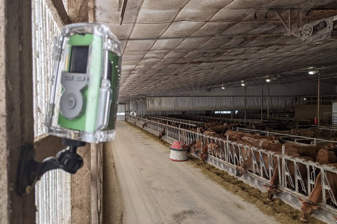 Time-lapse photography can identify poor neck and brisket rail placement, bedding availability, mattress limitations, feed levels and push-up requirements, etc. Photo: Brian Dougherty