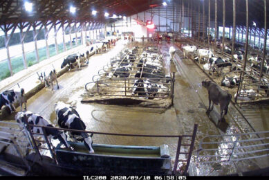 Vibrations from fans (for barn ventilation) can cause footage to appear shaky, so it’s important to mount the camera securely away from excessive movement. Photo: Brian Dougherty