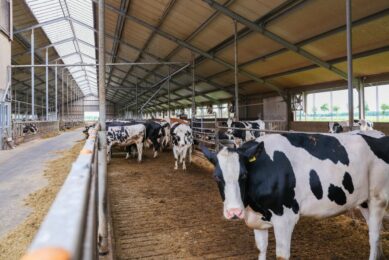 Sensors for real-time monitoring of a cow’s rumen