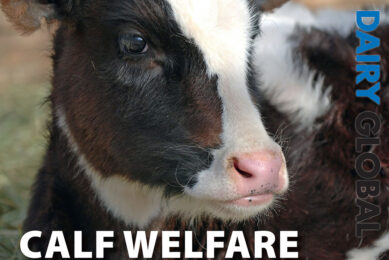 Magazine edition 5: Welfare and milking in the spotlight