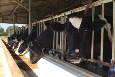 In the short/medium term, the UK dairy sector will need to address energy usage and renewables. Photo: Shutterstock