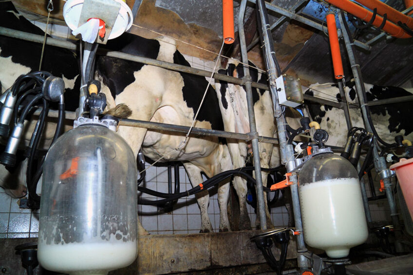 In November, the Moscow-based think tank Dairy Intelligence Agency reported that Kazakhstan's self-sufficiency in raw milk was close to 25%, instead of 70% estimated by government agencies. Photo: Canva
