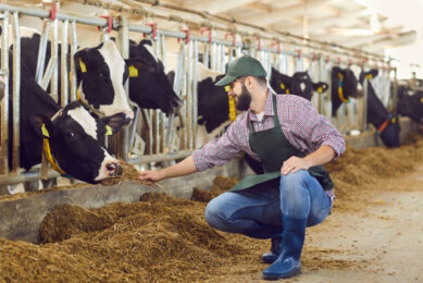This analyses will allow farmers and vets to work together to identify the pattern of mastitis in their herd and control measures to be focused on where they are most effective. Photo: Canva