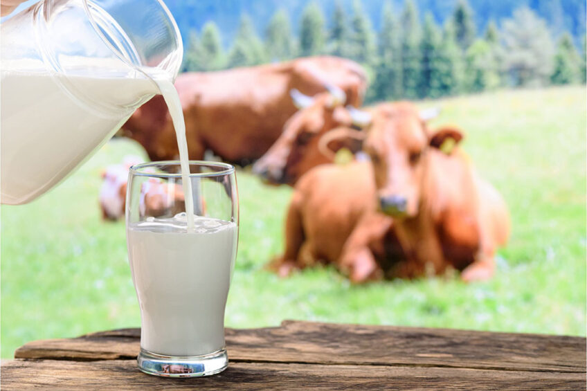 Dairy cooperatives feel tremendous pressure from retail chains to lower selling prices. Photo: Canva