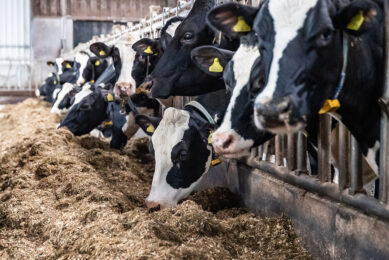 Farmers hold a unique power to be an innovative part of the solutions to climate change. Photo: Ronald Hissink