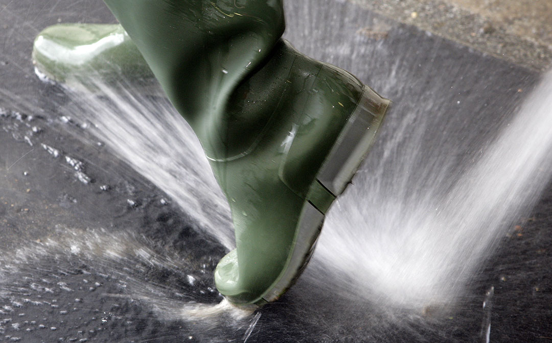 Cleaning boots with disinfectant at the end of the visit and washing hands are effective interventions to reduce bacterial count. Photo: Henk Riswick