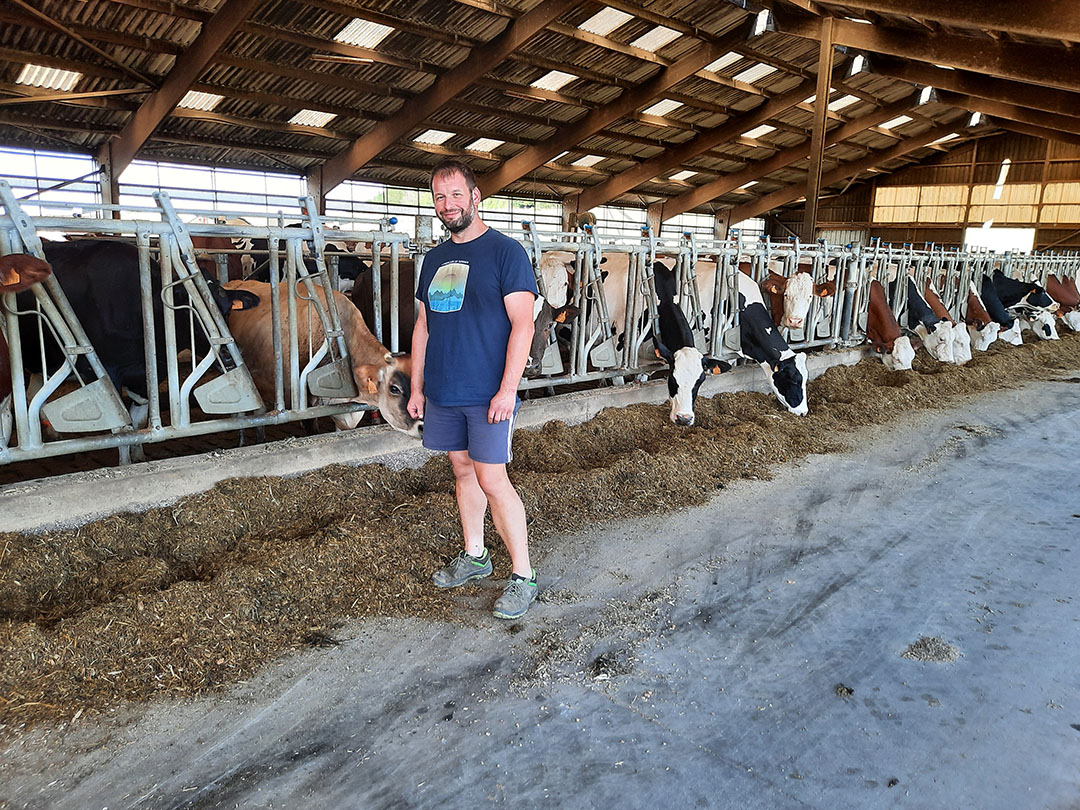 Laurent Isabey in the cows barn: “We have optimised the interaction between crops and livestock.” Photo: Marie-Christine Pioche