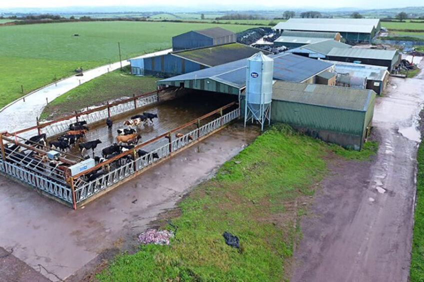 The farm set-up is fully linked to grazing. Around the buildings there are 145 hectares of grazing land. Photo: Henk Riswick