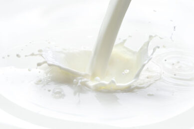 Bacterial spores, which are found in raw milk, can survive harsh processing conditions encountered in dairy manufacturing, including pasteurisation, and drying. Photo: Canva