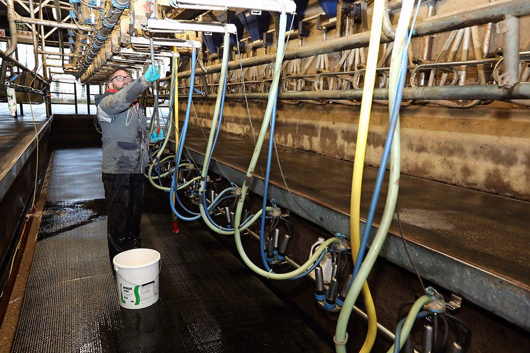 The milking parlour is a 20-year-old 2x20 swingover parlour. Photo: Henk Riswick