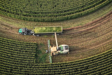 Control forage quality and gain the upper hand on costs