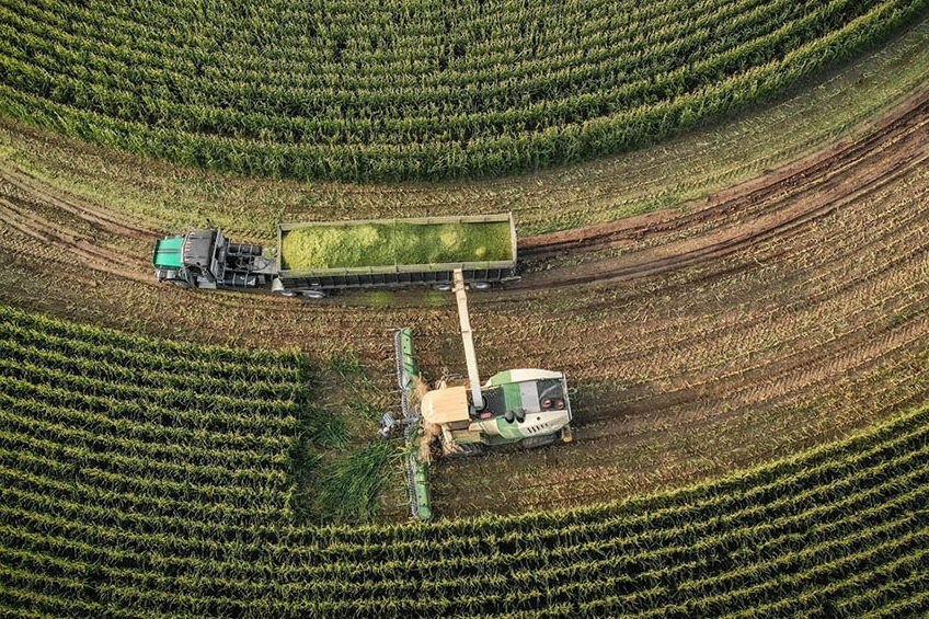Control forage quality and gain the upper hand on costs