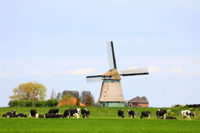 The [Dutch] government aims to cut nitrogen emissions in half by 2030, as relatively large numbers of livestock and heavy use of fertilizers have led to levels of nitrogen oxides in the soil and water that violate European Union regulations. Photo: Canva