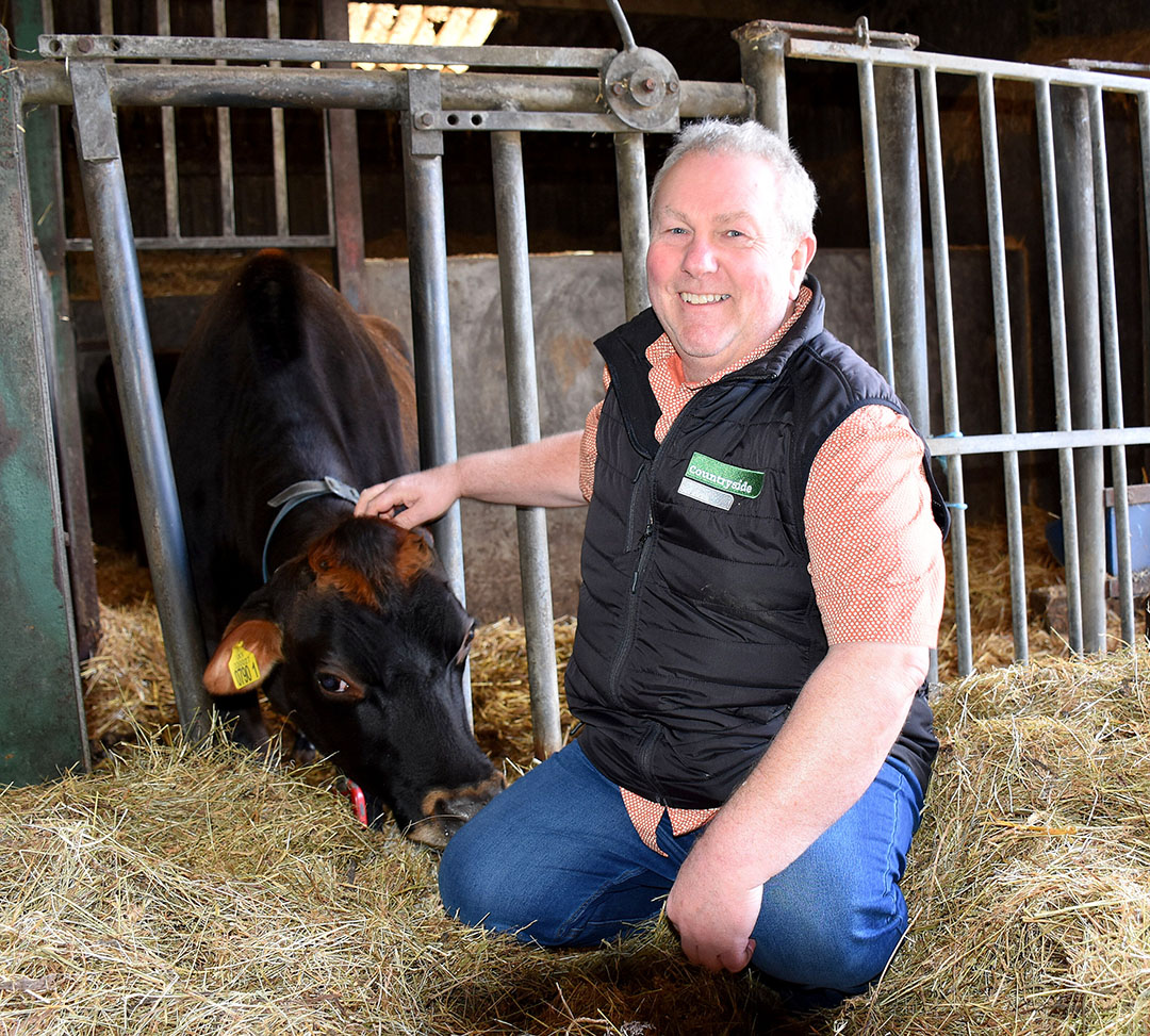 Mark Logan has been breeding dairy cattle at Clandeboye Estate for the past 32 years. Photo: Chris McCullough