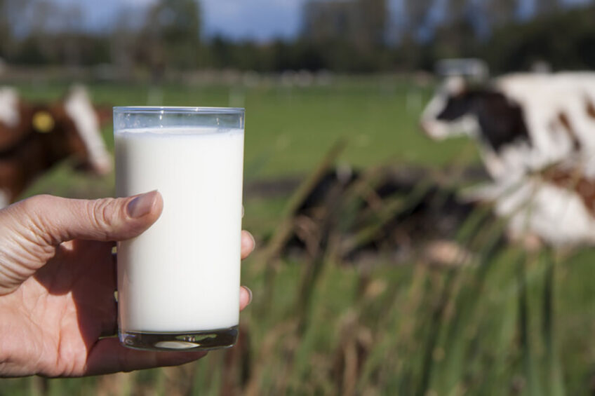 MyMilkPrint from Trouw Nutrition provides an accurate estimate of the environmental impact data per kg of milk produced. Photo: Dreamstime