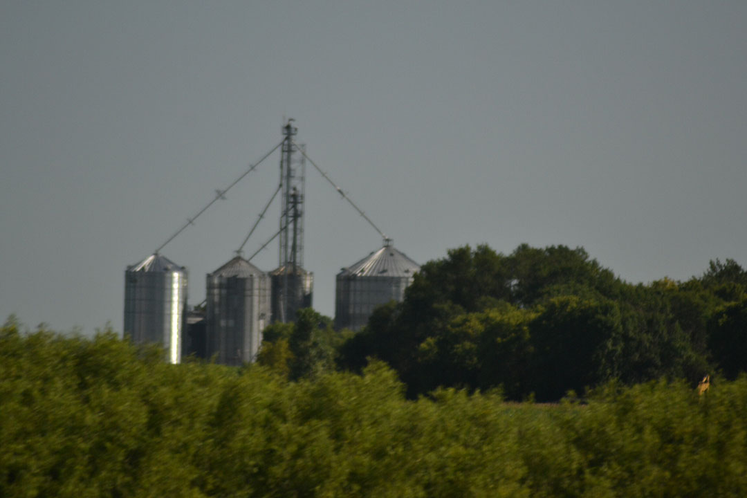 The entire complex with a DeLavel milking carousel, detached barn, storage barn, for feed, etc. covers an area of approximately 9 hectares, while there is land adjacent to the farm of 64 hectares. Photo: Aage Krogsdam