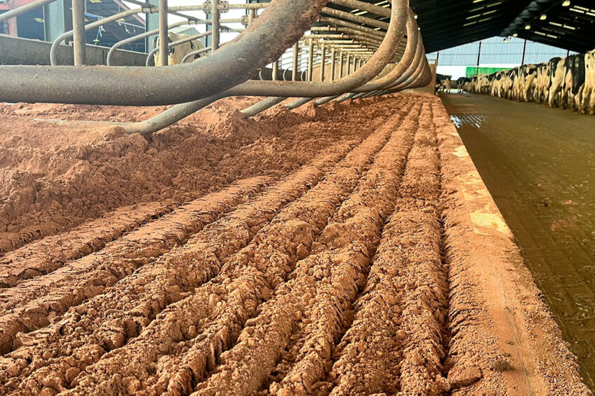 Farm visit: a tour around a typical British dairy farm - Dairy Global