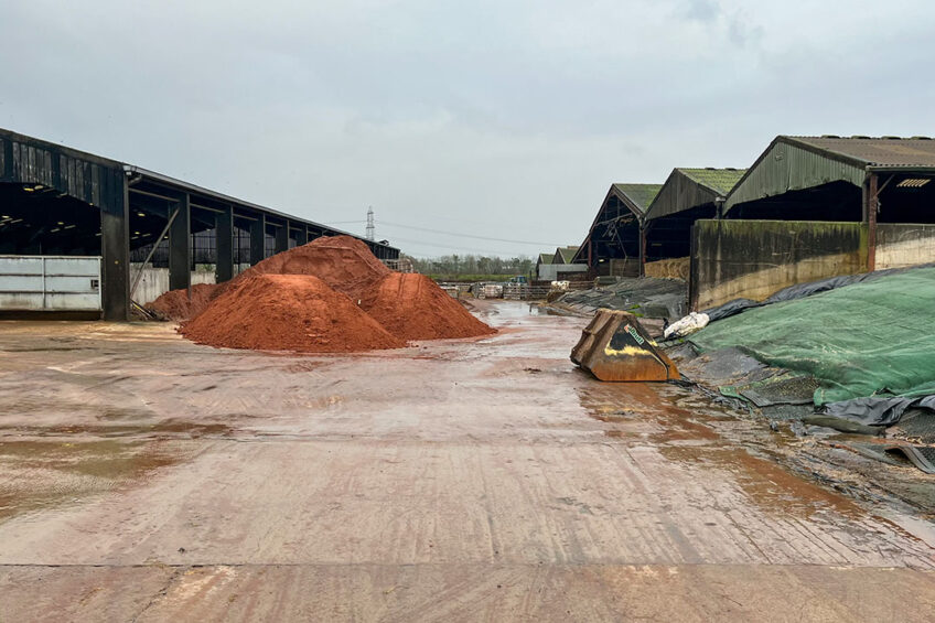 Farm visit: a tour around a typical British dairy farm - Dairy Global