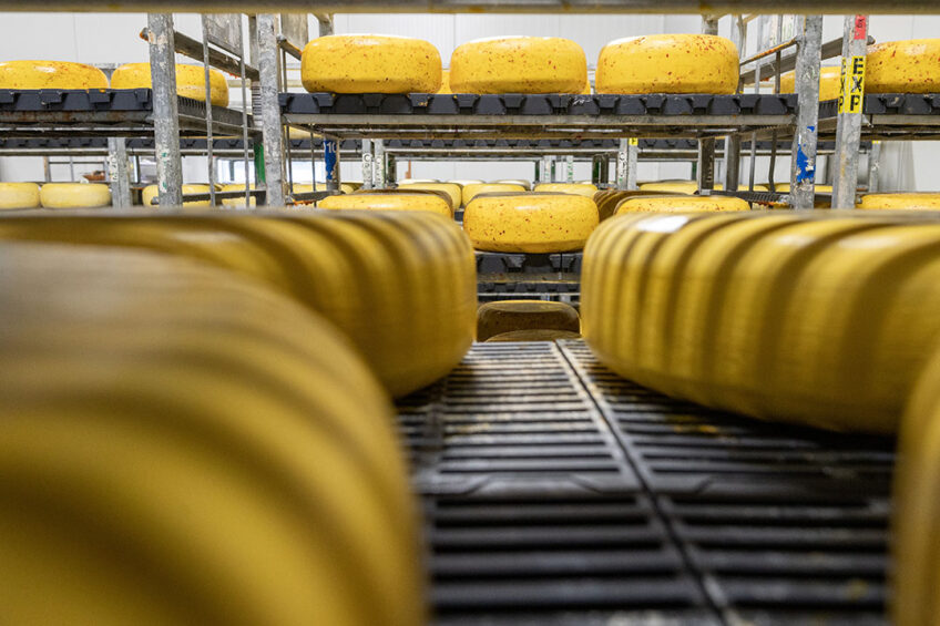 Cheese production is responsible for the largest dairy food waste volumes. It is predominantly the result of whey (a by-product of cheese production) being discharged to sewer and land. Cor Salverius Fotografie