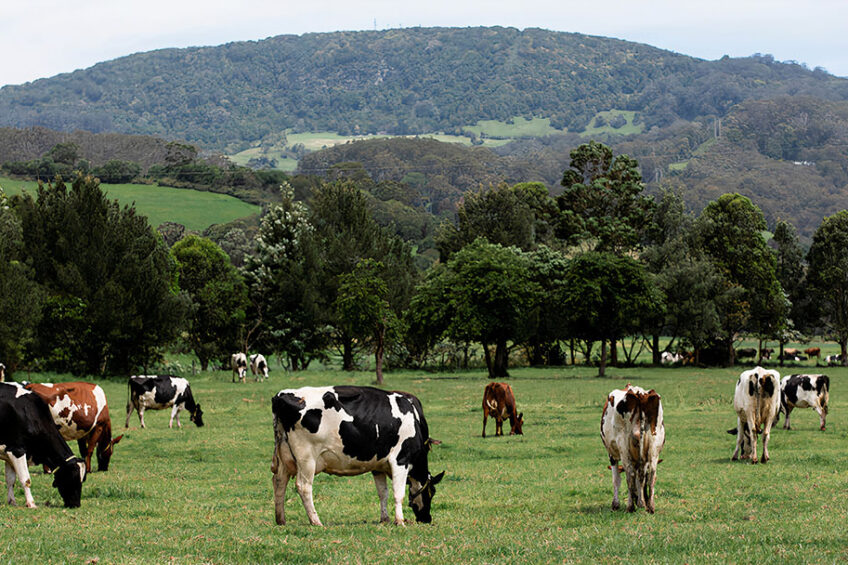 Back pasture sales