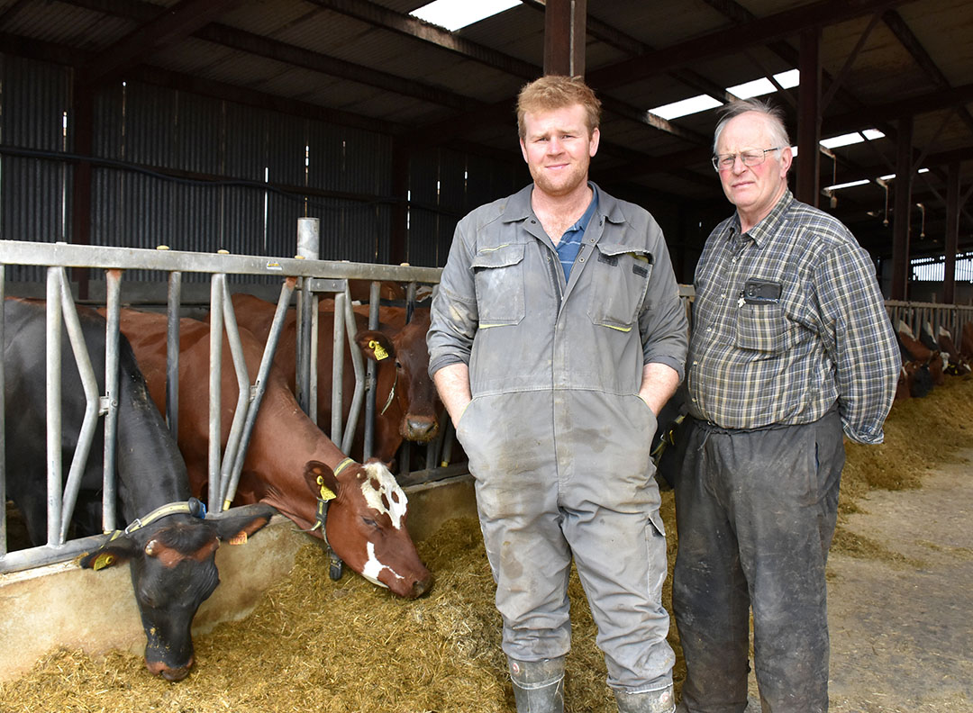 N. Ireland dairy farm introduces Danish breed after bTB disaster ...