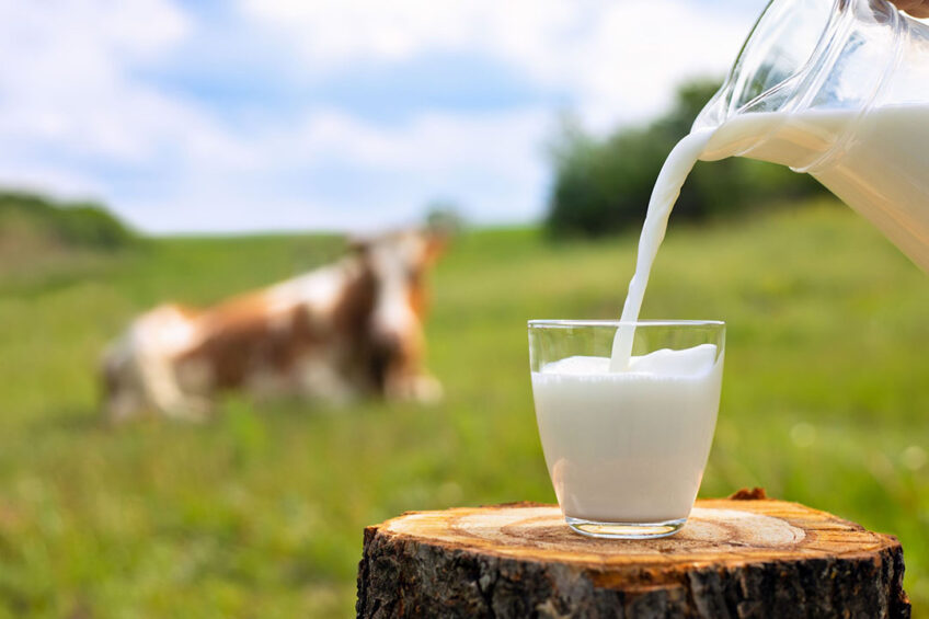 Farm margins will be under increased pressure this season unless milk prices begin to rise again. Photo: Canva