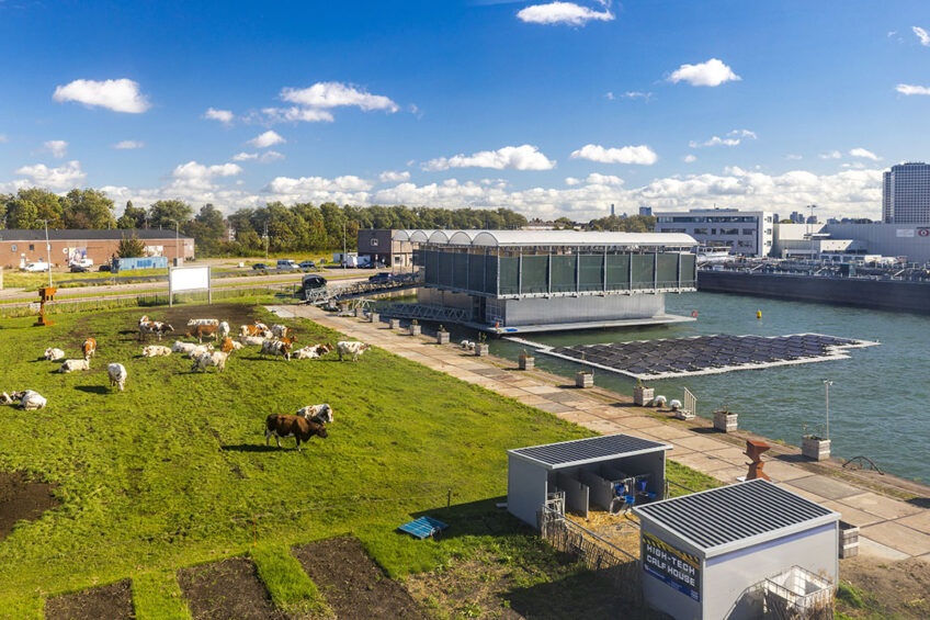 An aerial view shows the grazing land on the left and solar panels on the right. Photo: Floating Farm