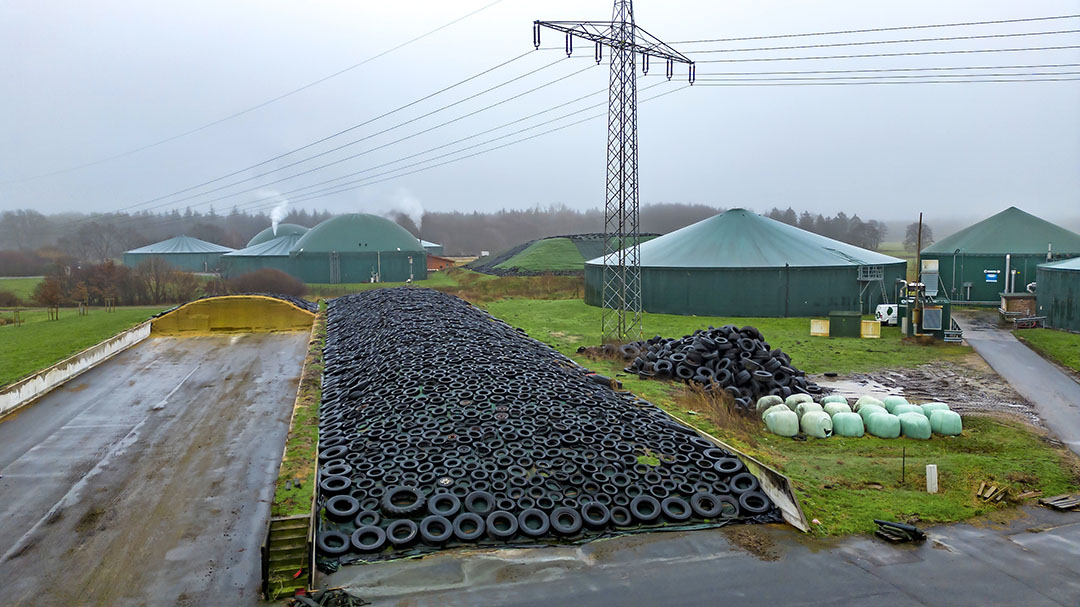 There are quite a few biogas silos at the dairy complex. The construction is sleek, and the terrain is tidy.