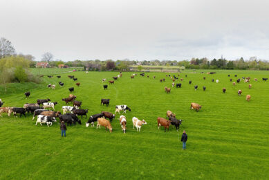 Organic Valley launched a pilot program that uses satellite imagery and a computer software pro¬gram to estimate pasture growth and health in real time for their dairy farms, to support intensive rotational grazing. (Generic) Photo: Henk Riswick