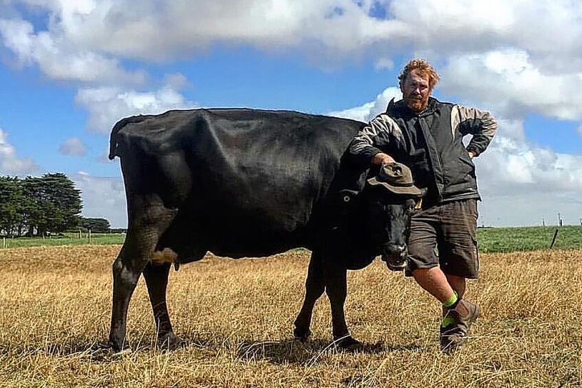 Paul milks 750 cows in south-west Victoria in Australia. Photos: Chris McCullough