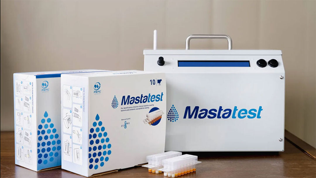 Photo: Mastaplex