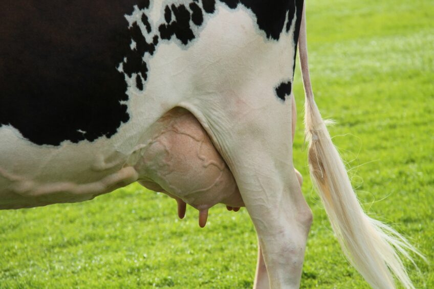 Treat mastitis on your terms? Watch this On-Demand webinar now!