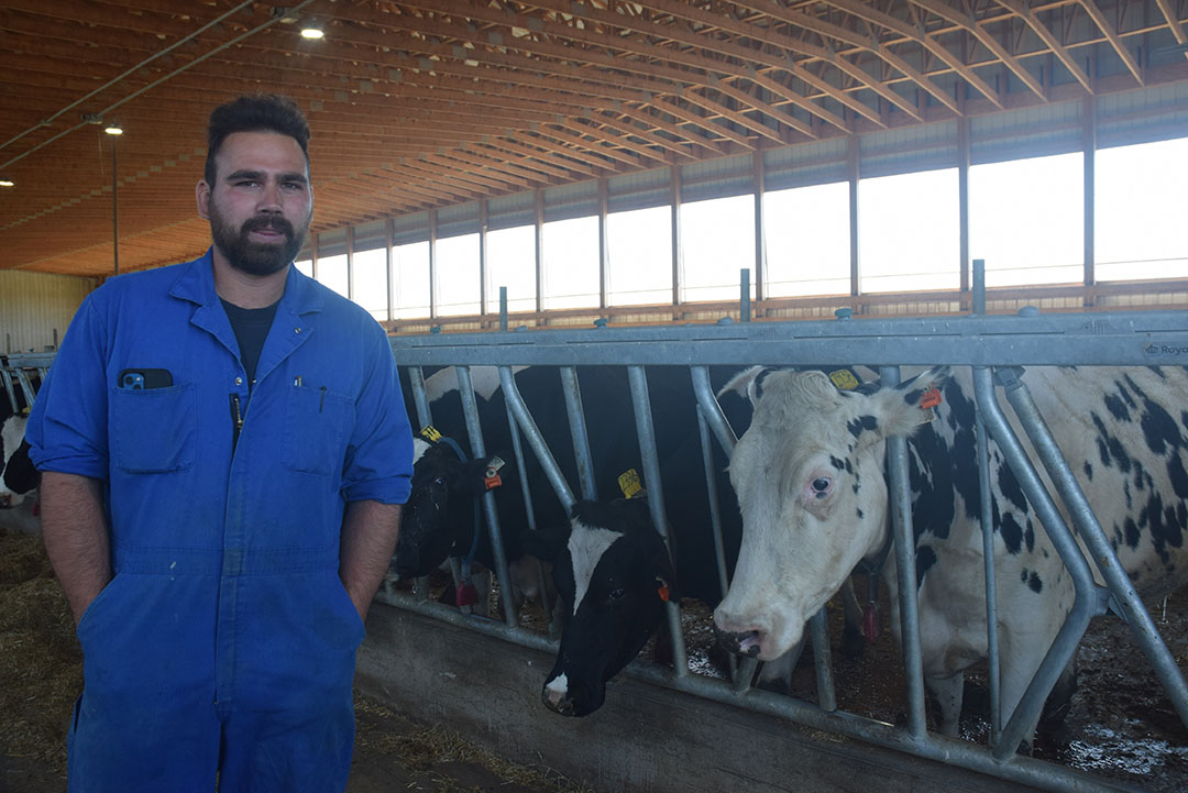 Son Teun van den Broek in the cow barn talks about the dairy the farm in Canada. Photo: