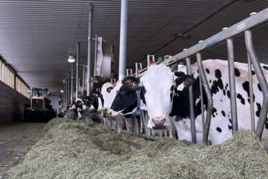 Schrijver says he is very dedicated to improving the Canadian dairy industry.  “It means a lot to me to leave a good industry to the next generation of dairy farmers.” Photo: Gert Schrijver