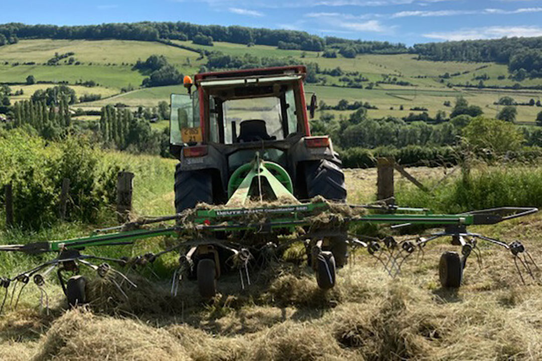 On a total of 180 ha, 110 ha are permanent meadows and 10 ha temporary meadows. Photo: Gaec Mairet family