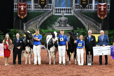 The Grand Champion of the International Junior Holstein Show went to Lin-Max Beemer Sweet Pea, exhibited by Sophie Leach of Linwood, Kan. Reserve Grand Champion honors went to Dappleview Tatoo Ella, exhibited by Tristen Ostrom of Kaukauna, Wis.