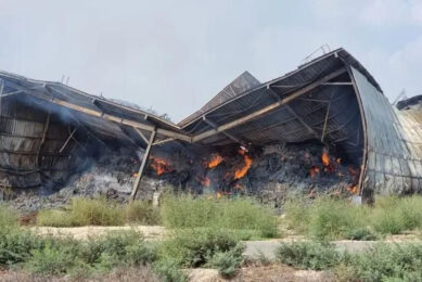 Hamas fighters torched this hay barn on one of the kibbutz farms.