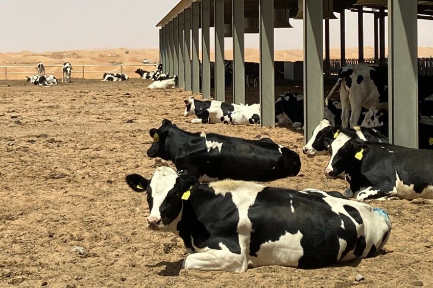 Food security and sustainability in the Middle East