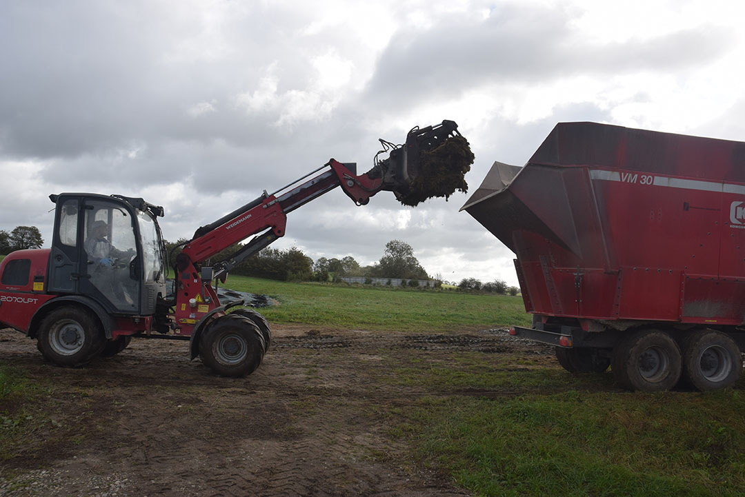 Grasslands are harvested 4 times a year, and here it is mostly red and white clover and ryegrass.