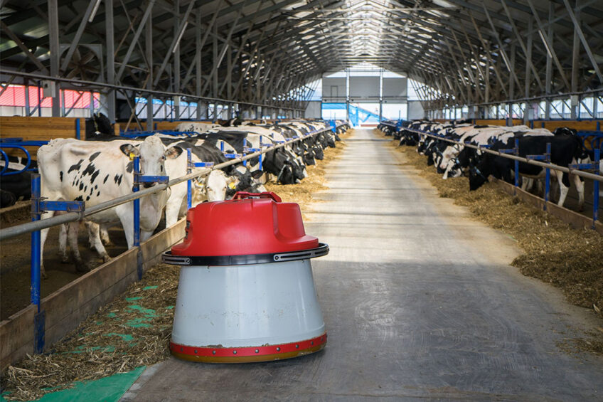 More support should be given for technological solutions that could reduce the labour needed on farm and increasing the attractiveness of dairy farming for the younger generation, making renewal more likely. Photo: Canva