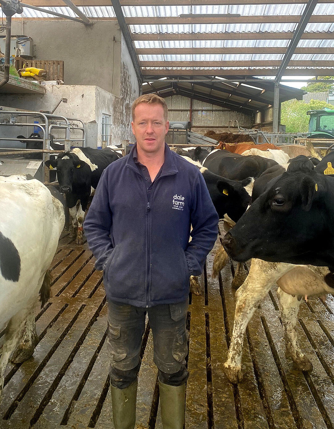 Northern Ireland dairy farmer Paul Smyth is now distributing the transparent sheeting worldwide. Photo: Chris McCullough
