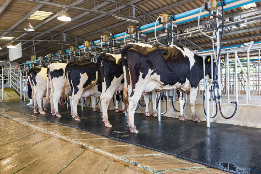 "The difficulties have affected those to a lesser extent who use milking equipment from Israel. It's much worse for those who relied on major dairy machine companies which have left Russia," commented Alexey Pavlov, general director of the Pervomaisky milk farm. Photo: Canva
