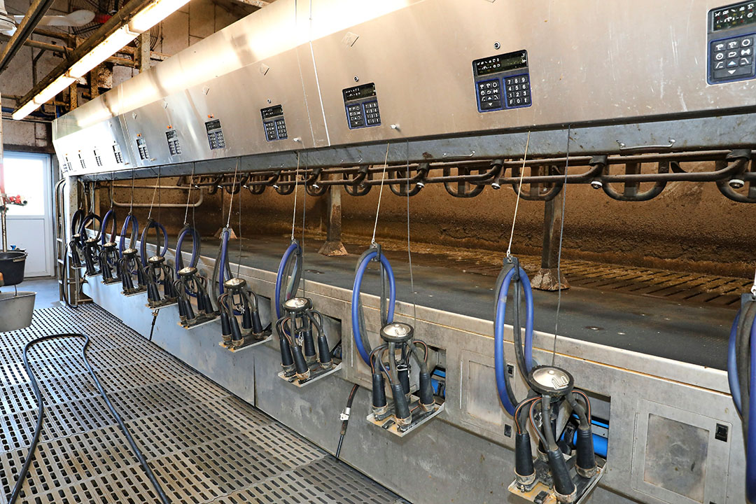 For the expansion, one option on the table was to switch from the 2x12 rapid exit milking parlour to milking robots, in several variants. But Olsen will keep milking in the parlour.